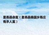夏邑縣命案（夏邑縣桑固鄉(xiāng)陳莊有殺人案）
