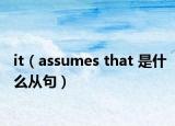 it（assumes that 是什么從句）