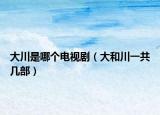 大川是哪個(gè)電視?。ù蠛痛ㄒ还矌撞浚? /></span></a>
                        <h2><a href=