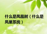 什么是鳳凰樹（什么是鳳巢系統(tǒng)）