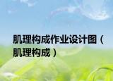 肌理構(gòu)成作業(yè)設(shè)計圖（肌理構(gòu)成）