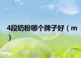 4段奶粉哪個牌子好（m）