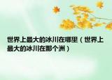 世界上最大的冰川在哪里（世界上最大的冰川在那個洲）