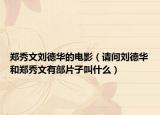 鄭秀文劉德華的電影（請問劉德華和鄭秀文有部片子叫什么）
