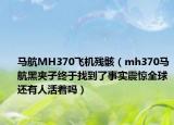馬航MH370飛機殘?。╩h370馬航黑夾子終于找到了事實震驚全球還有人活著嗎）