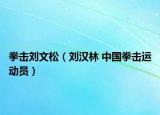 拳擊劉文松（劉漢林 中國拳擊運動員）