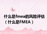 什么是fmea的風(fēng)險(xiǎn)評(píng)估（什么是FMEA）