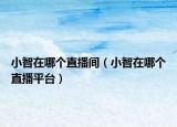 小智在哪個(gè)直播間（小智在哪個(gè)直播平臺(tái)）