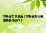 網(wǎng)易寶怎么激活（網(wǎng)易寶如何使用的具體操作）