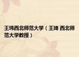 王瑋西北師范大學(xué)（王琦 西北師范大學(xué)教授）