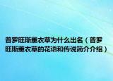 普羅旺斯薰衣草為什么出名（普羅旺斯薰衣草的花語(yǔ)和傳說(shuō)簡(jiǎn)介介紹）