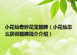 小花仙奇妙花寶翅膀（小花仙怎么獲得翅膀簡介介紹）