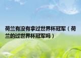 荷蘭有沒(méi)有拿過(guò)世界杯冠軍（荷蘭的過(guò)世界杯冠軍嗎）