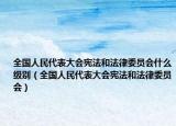 全國人民代表大會憲法和法律委員會什么級別（全國人民代表大會憲法和法律委員會）