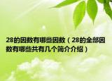 28的因數(shù)有哪些因數(shù)（28的全部因數(shù)有哪些共有幾個簡介介紹）