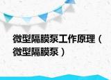 微型隔膜泵工作原理（微型隔膜泵）