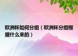 歐洲杯如何分組（歐洲杯分組根據(jù)什么來(lái)的）