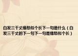 白發(fā)三千丈緣愁似個長下一句是什么（白發(fā)三千丈的下一句下一句是緣愁似個長）