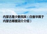內(nèi)蒙古是少數(shù)民族（白音華屬于內(nèi)蒙古哪里簡介介紹）