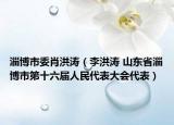 淄博市委肖洪濤（李洪濤 山東省淄博市第十六屆人民代表大會代表）