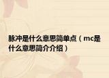 脈沖是什么意思簡單點（mc是什么意思簡介介紹）
