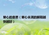 慧心的意思（慧心未泯的解釋越快越好）