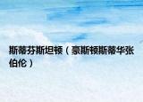 斯蒂芬斯坦頓（豪斯頓斯蒂華張伯倫）