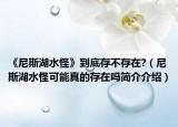 《尼斯湖水怪》到底存不存在?（尼斯湖水怪可能真的存在嗎簡介介紹）