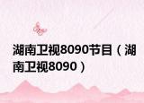 湖南衛(wèi)視8090節(jié)目（湖南衛(wèi)視8090）
