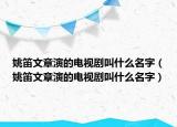 姚笛文章演的電視劇叫什么名字（姚笛文章演的電視劇叫什么名字）