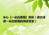 冰心《一朵白薔薇》賞析（課文詩詞一朵白薔薇的閱讀答案）