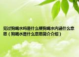 見過狗喝水嗎是什么梗狗喝水內(nèi)涵什么意思（狗喝水是什么意思簡介介紹）