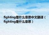 fighting是什么意思中文翻譯（fighting是什么意思）