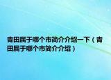 青田屬于哪個(gè)市簡介介紹一下（青田屬于哪個(gè)市簡介介紹）