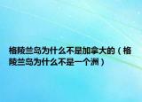 格陵蘭島為什么不是加拿大的（格陵蘭島為什么不是一個洲）