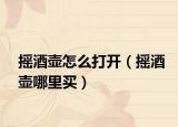 搖酒壺怎么打開(kāi)（搖酒壺哪里買）