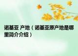 諾基亞 產地（諾基亞原產地是哪里簡介介紹）