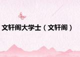 文軒閣大學(xué)士（文軒閣）