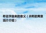 彬名字由來的意義（炎彬的寓意簡(jiǎn)介介紹）