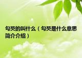 勾芡的叫什么（勾芡是什么意思簡(jiǎn)介介紹）