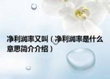 凈利潤率又叫（凈利潤率是什么意思簡介介紹）