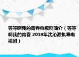 等等啊我的青春電視劇簡介（等等啊我的青春 2019年沈沁源執(zhí)導電視?。? /></span></a>
                        <h2><a href=