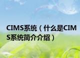 CIMS系統(tǒng)（什么是CIMS系統(tǒng)簡(jiǎn)介介紹）