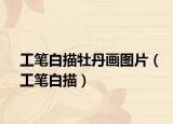 工筆白描牡丹畫(huà)圖片（工筆白描）