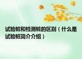 試驗樁和檢測樁的區(qū)別（什么是試驗樁簡介介紹）