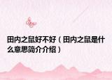 田內(nèi)之鼠好不好（田內(nèi)之鼠是什么意思簡介介紹）