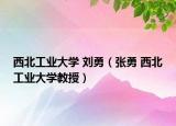 西北工業(yè)大學(xué) 劉勇（張勇 西北工業(yè)大學(xué)教授）