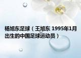 楊旭東足球（王旭東 1995年1月出生的中國足球運(yùn)動(dòng)員）