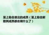 至上勵合退出的成員（至上勵合解散其成員都去做什么了）