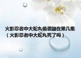 火影忍者中大蛇丸偷襲鼬在第幾集（火影忍者中大蛇丸死了嗎）